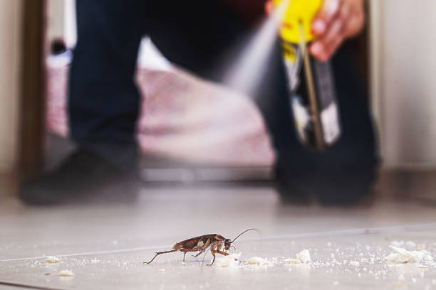 Professional Pest Control in Irondale, GA